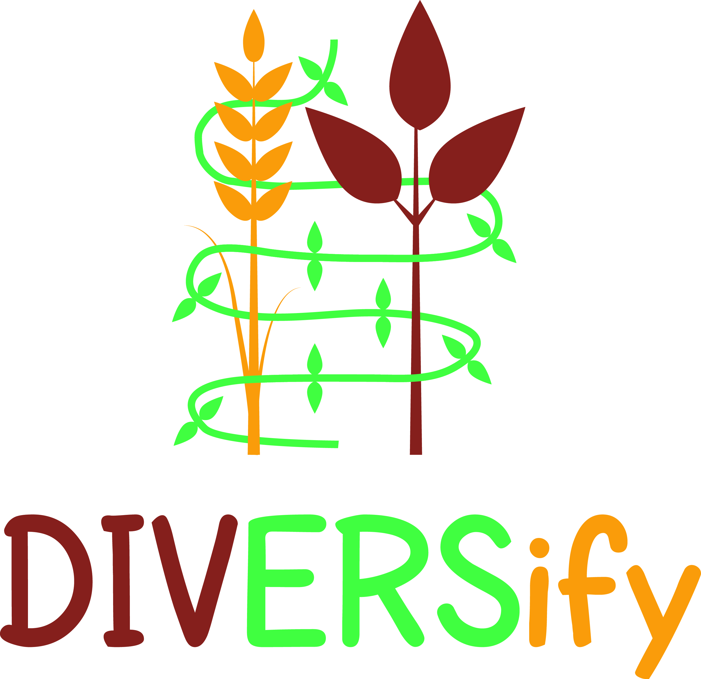 41229_DIVERSify logo v5