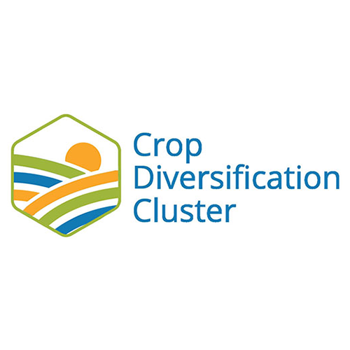 Crop Diversification Cluster logo